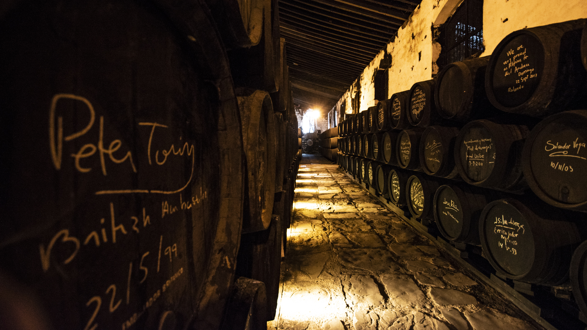 Bodegas